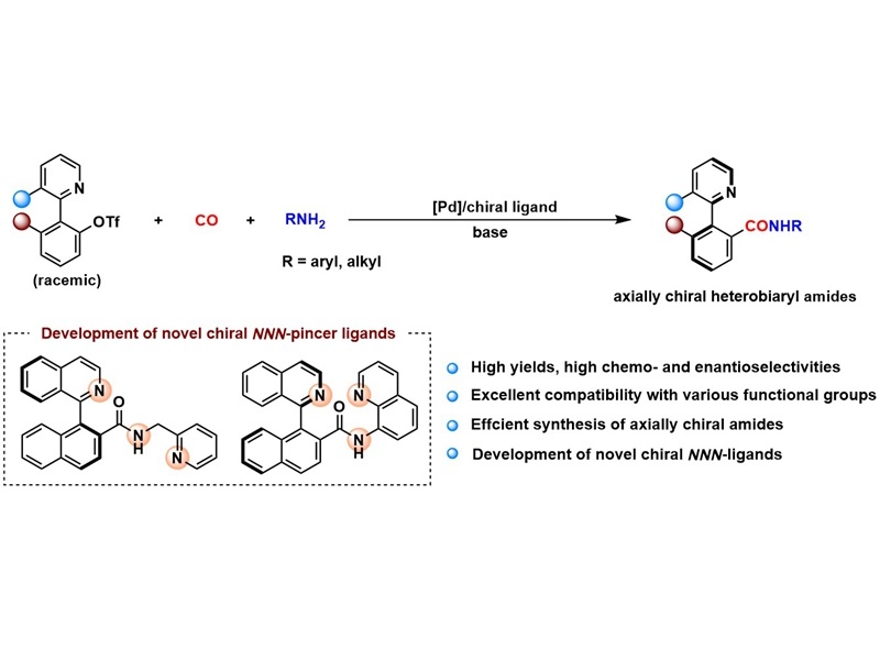 上海交大刘家旺课题组发文：钯催化动态动力学不对称胺羰基化反应高效合成轴手性酰胺化合物