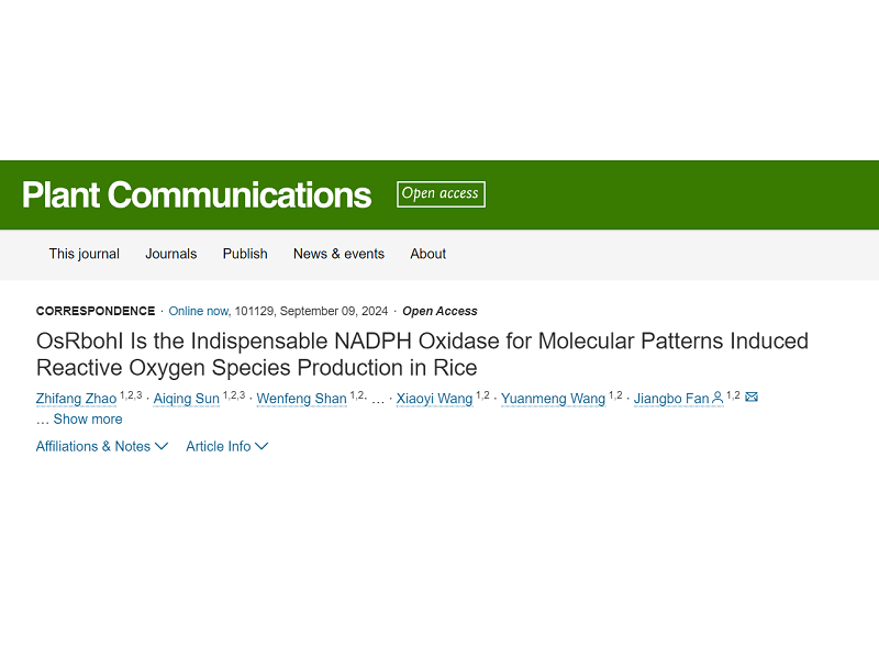 上海交大范江波课题组证实OsRbohI才是水稻先天免疫反应活性氧爆发的关键因子