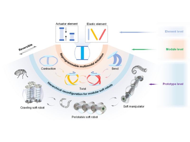 上海交大张文明教授团队提出分级可重构的软体机器人设计策略