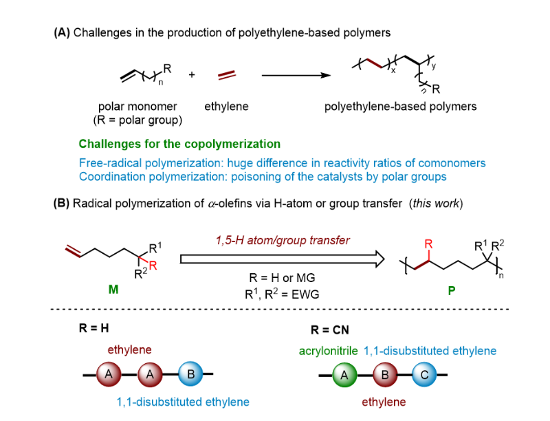 上海交大朱晨、孙浩通过选择性远程氢原子/官能团转移实现ɑ-烯烃的自由基聚合