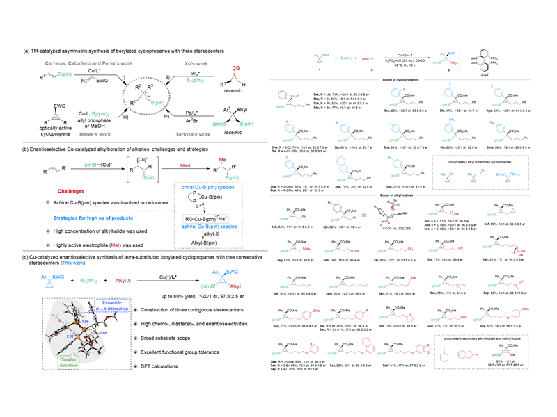 上海交大刘家旺、陈向洋合作发文：铜催化非对映和对映选择性合成具有三个连续手性中心的硼取代环丙烷