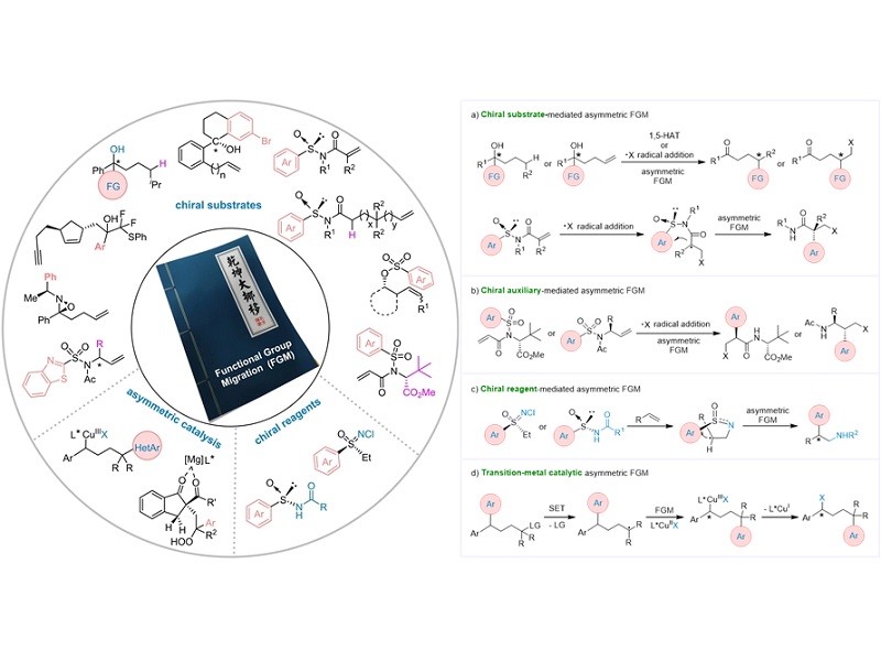 上海交大朱晨团队发表综述：自由基介导的官能团迁移策略在不对称合成的研究进展