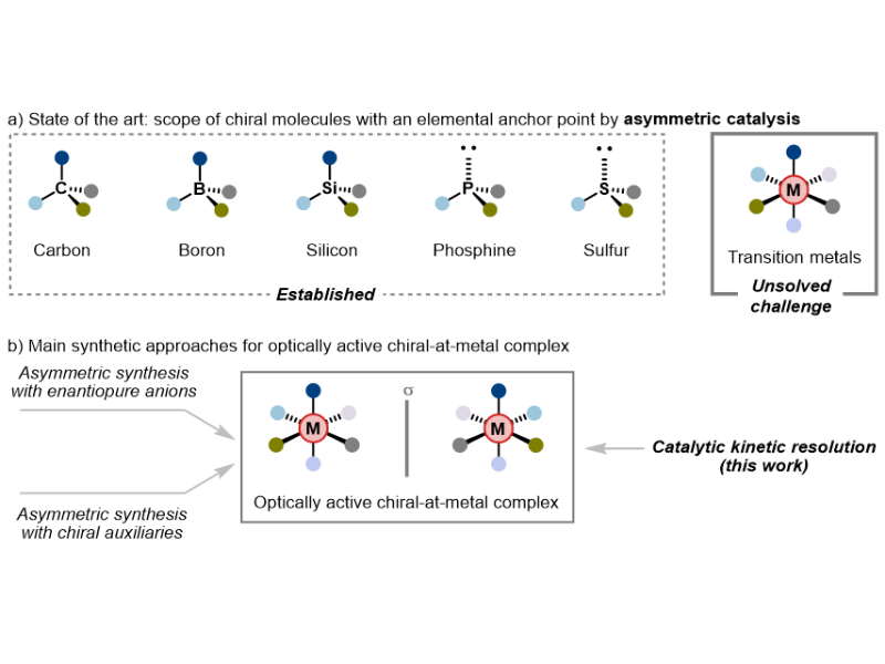 上海交大马佳佳发文：八面体金属手性分子的首次高立体选择性不对称催化合成
