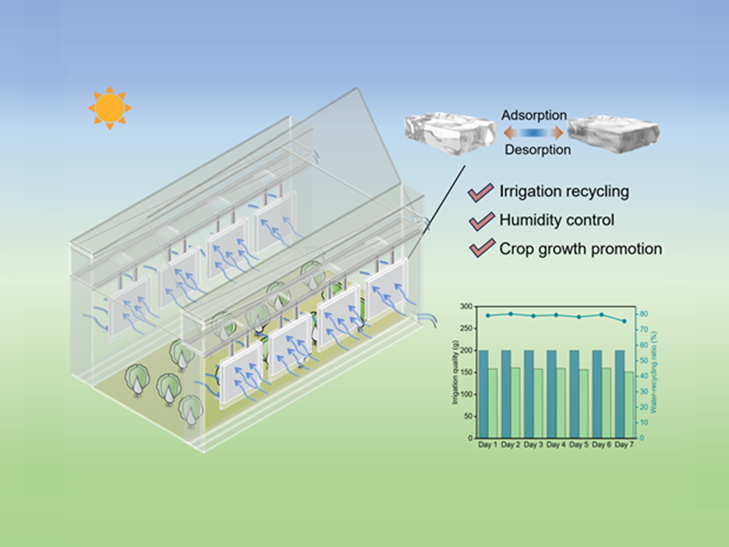 上海交大王如竹ITEWA跨学科交叉团队研发温室侧窗水分回收系统，助力温室高效节水