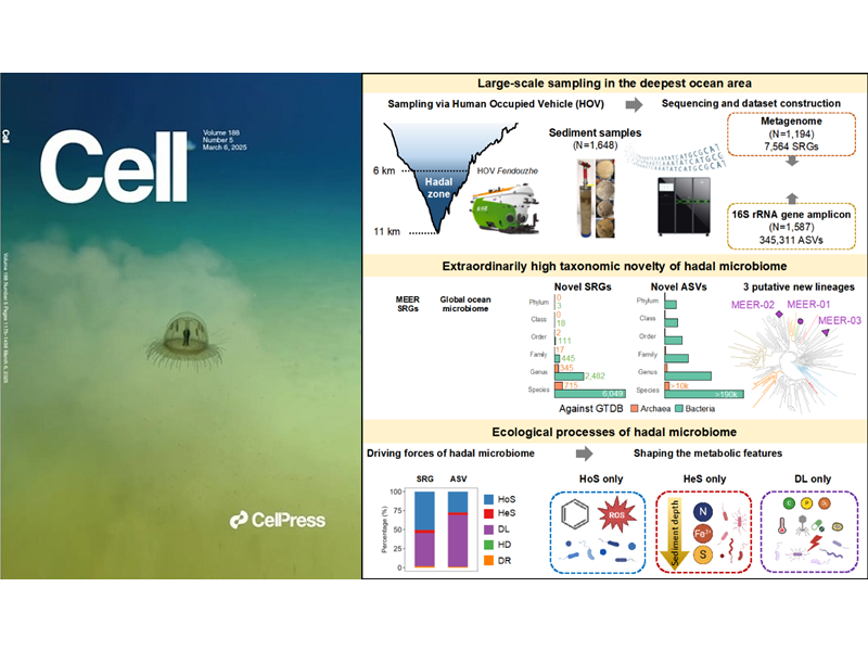 上海交大肖湘团队Cell发文：实现人类首次对深渊沉积物微生物及其生态过程的系统研究